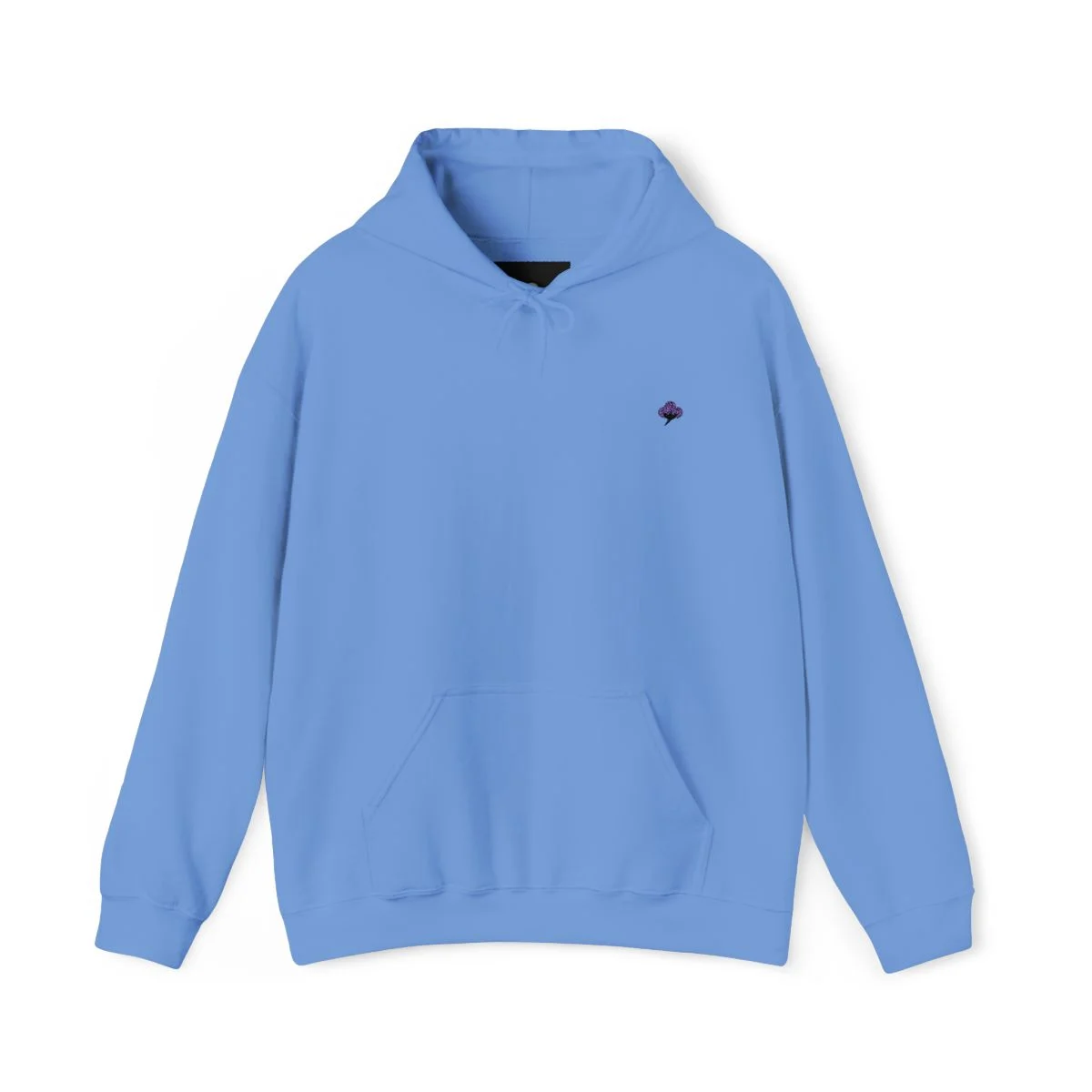 Paxta Blue Hoodie